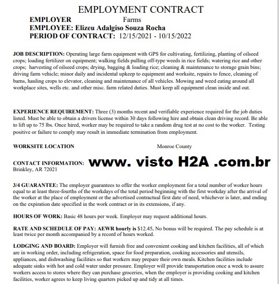 exemplo contrato elizeu.jpg