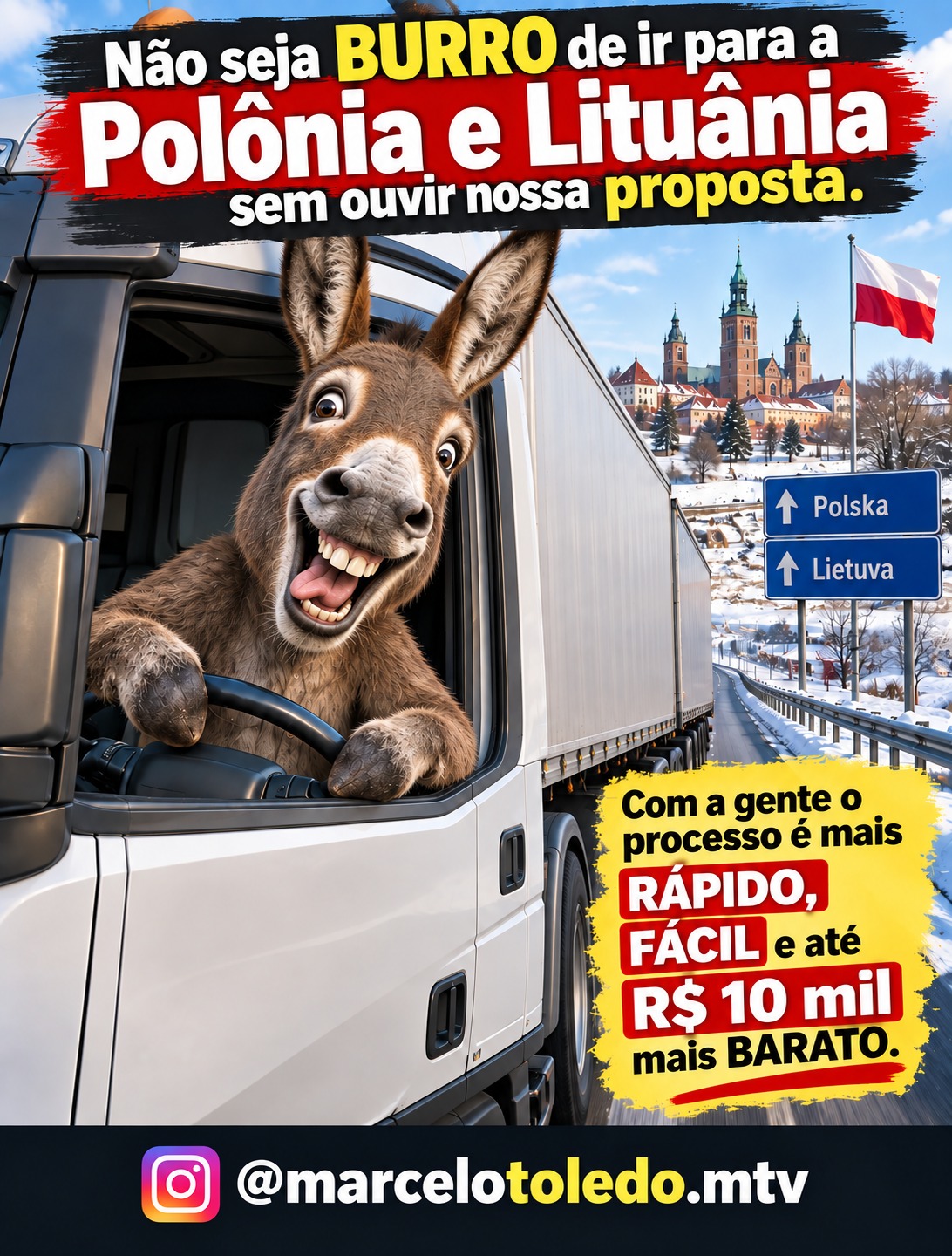 burro.jpeg